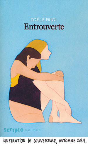 couverture Gallimard
